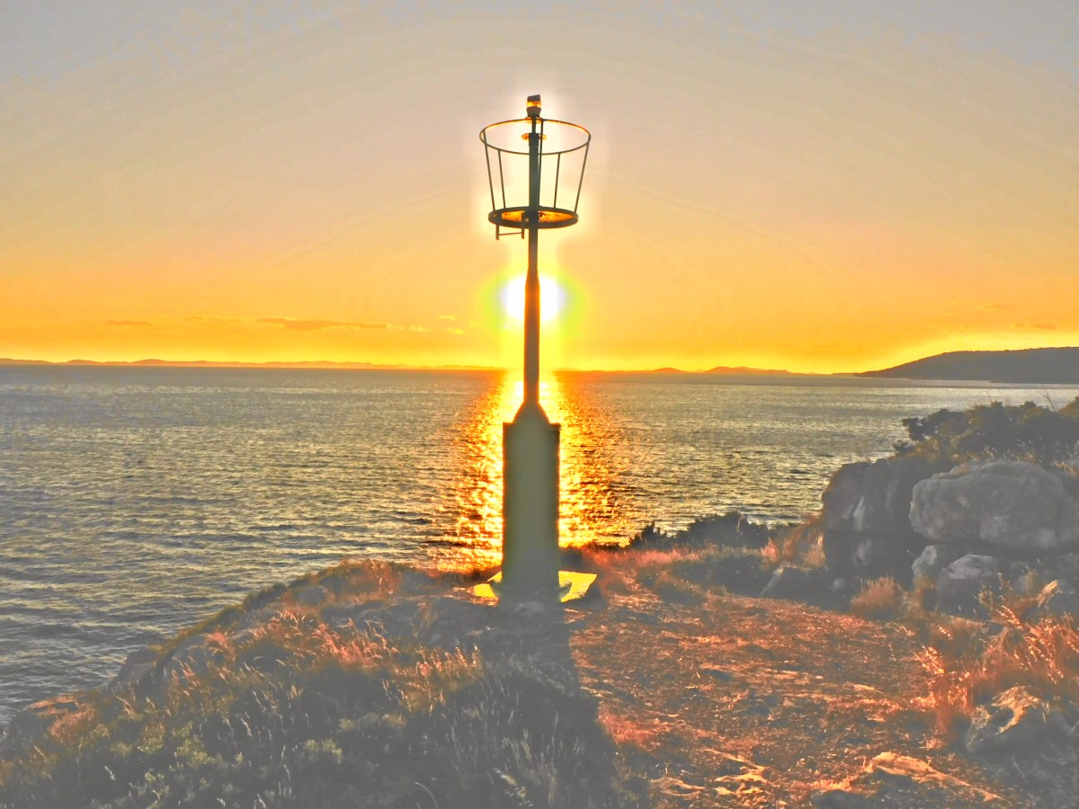 Dnevna dinamika živalske&nbsp;aktivnosti