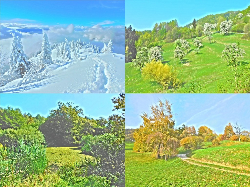 Sezonska dinamika živalske aktivnosti